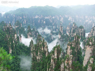 ���ҽ����P�˹ų�����ɽȥ���F���P�o������